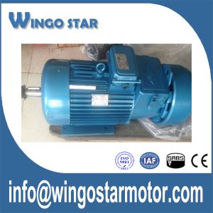 IEC-Motor