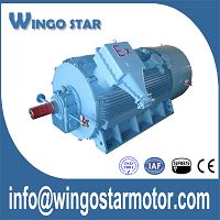 Explosionsgeschützter Motor