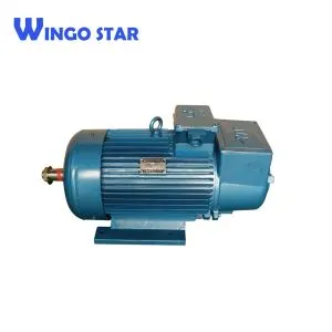 3-Phasen-Asynchron-Elektromotor der YZR-Serie