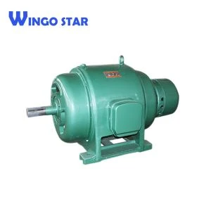 Hocheffizienter dreiphasiger asynchroner Elektromotor